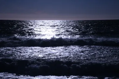 DSC_0462 (Large).JPG